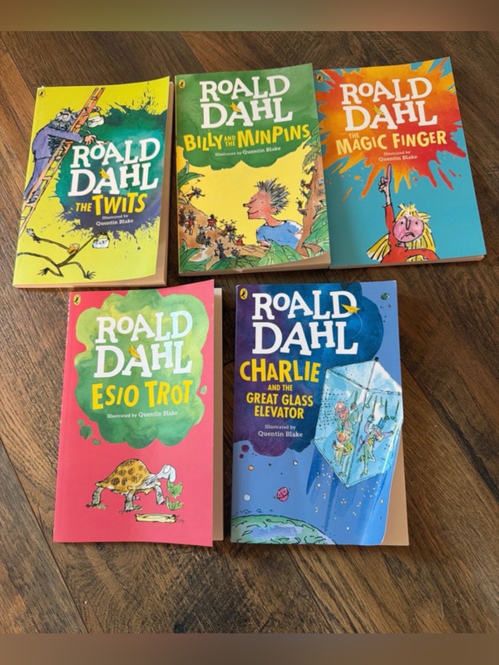 Roald Dahl book bundle: esio, twits, magic finger, great elevator, billy minpin